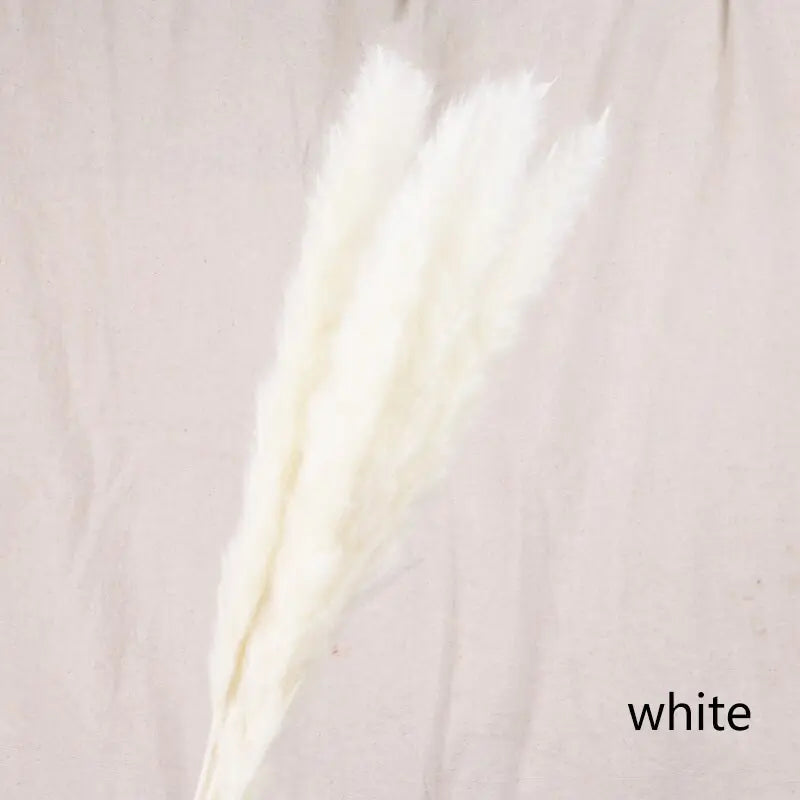 roomix designed feather- Discover the elegance of the Roomix delicately designed feather – a symbol of lightness and grace, perfect for adding a personal touch to any space.