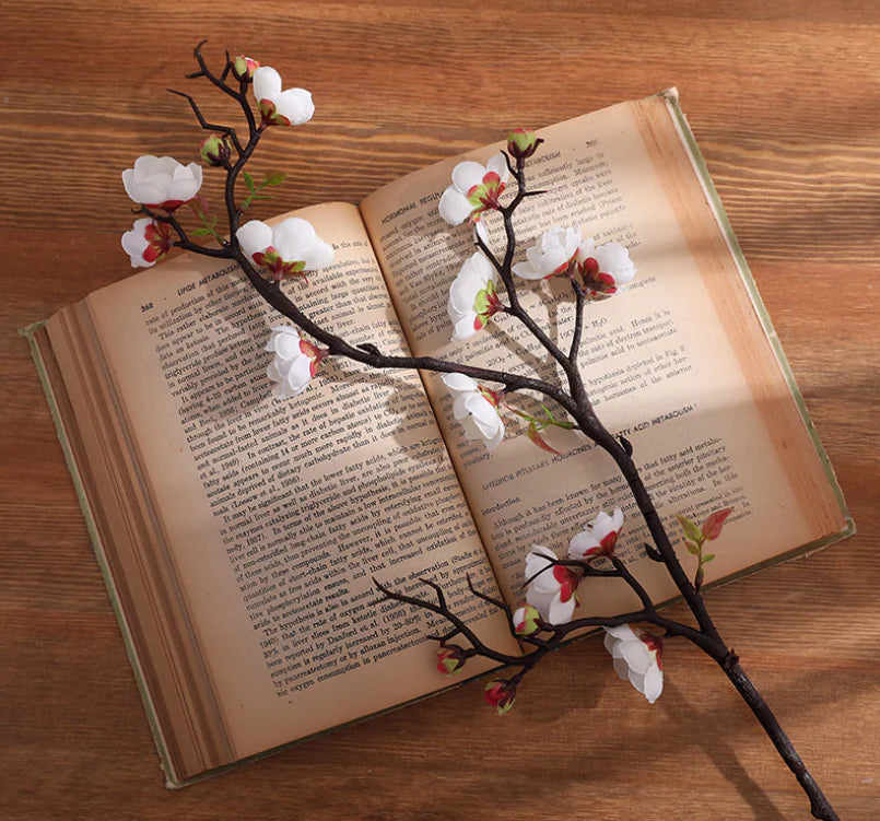 Roomix beautifully designed branches- beautifully designed branches in a variety of colors, perfect for adding a unique touch to any space. Whether you're looking to brighten your home, office, or personal corner